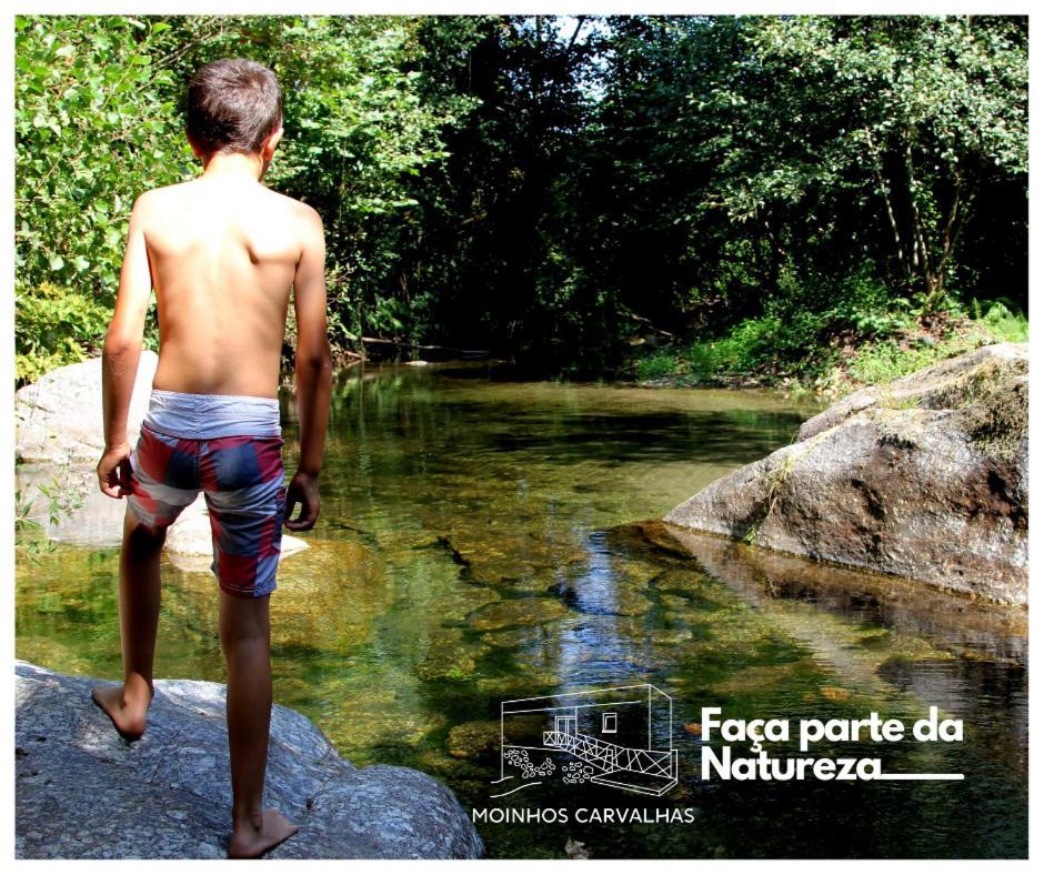 Villa Moinhos Carvalhas Arcos de Valdevez Esterno foto