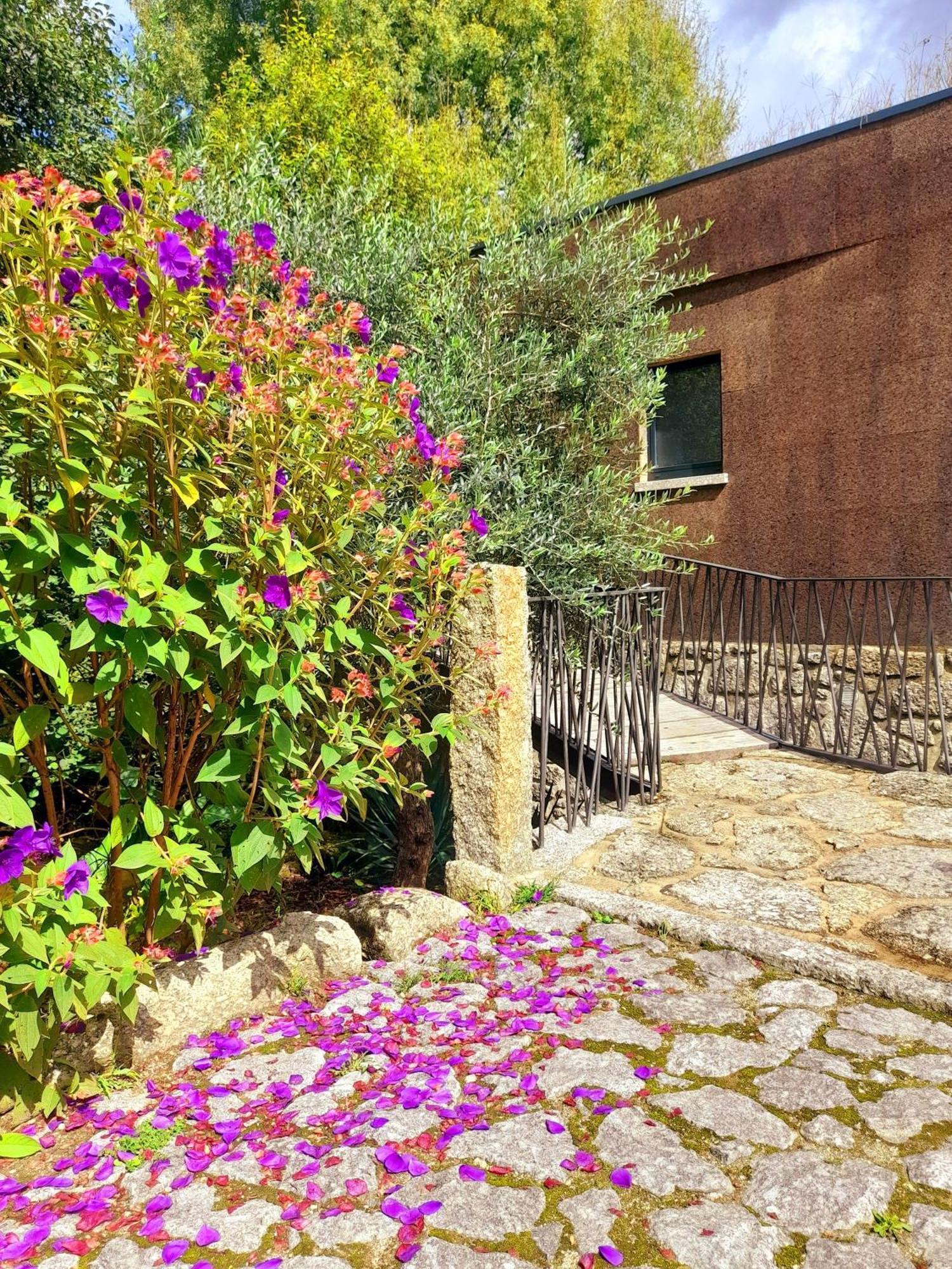 Villa Moinhos Carvalhas Arcos de Valdevez Esterno foto