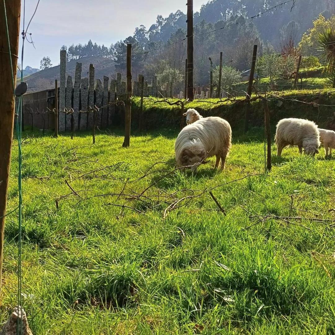 Villa Moinhos Carvalhas Arcos de Valdevez Esterno foto