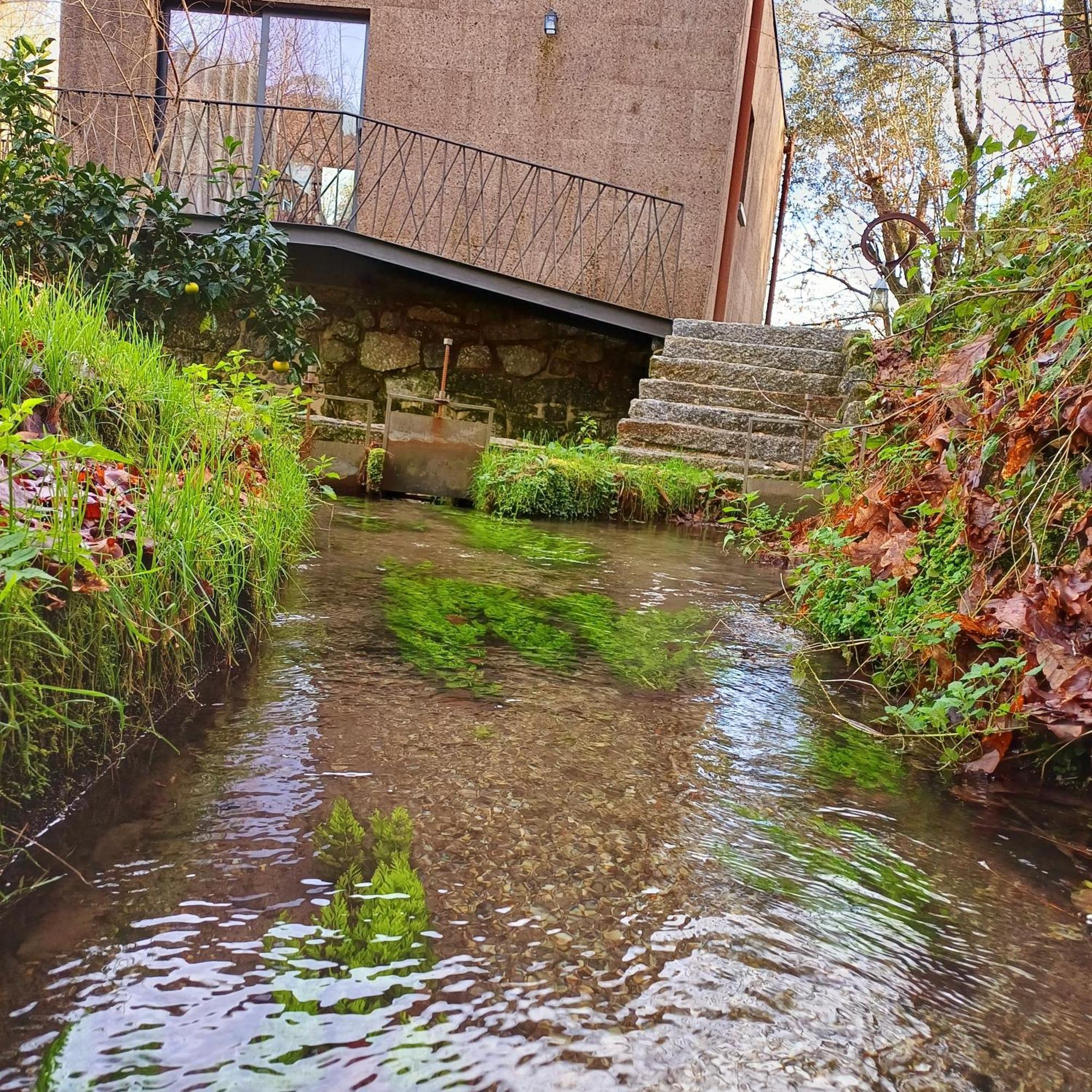 Villa Moinhos Carvalhas Arcos de Valdevez Esterno foto